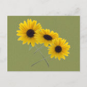 Mooie drievoudige zonnebloemofotografie op groen briefkaart (Voorkant)