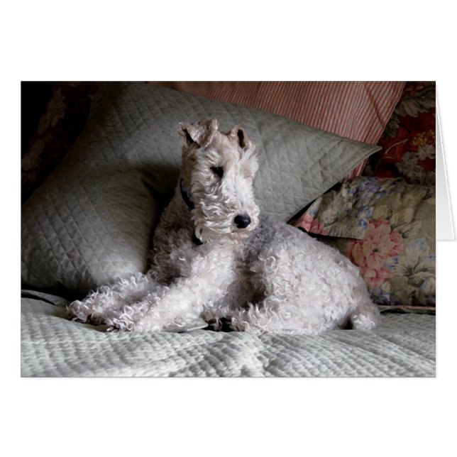 mooie dromen (Voorkant Horizontaal)