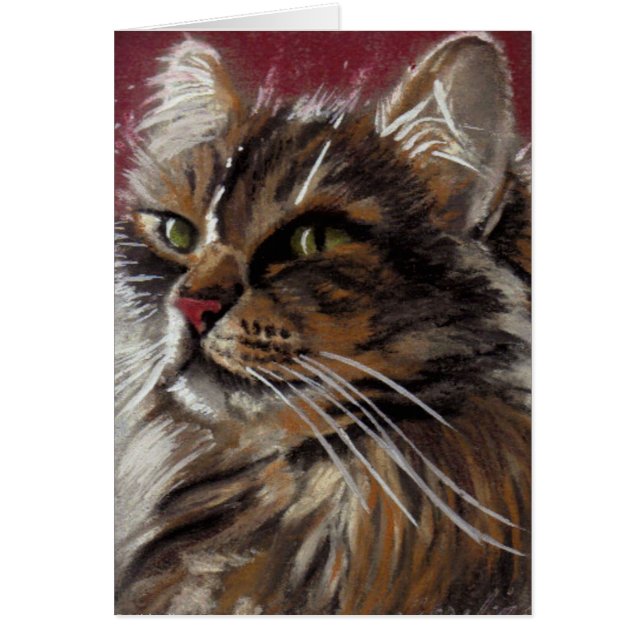 Mooie dromer - Maine Coon Cat Card (Voorkant)
