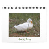 Mooie droom kalender (Hoes)