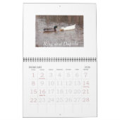 Mooie droom kalender (Feb 2026)