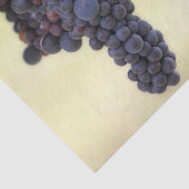 Mooie druivenwijn met hangende vruchten tissuepapier (Detail)