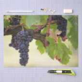 Mooie druivenwijn met hangende vruchten tissuepapier (Craft)