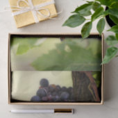 Mooie druivenwijn met hangende vruchten tissuepapier (Geschenk)