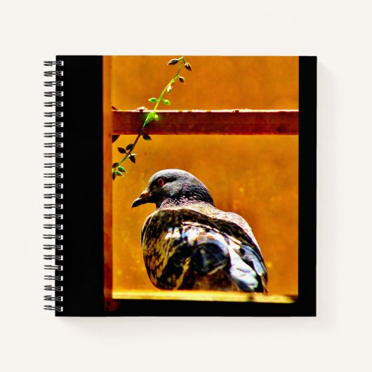 Mooie duif notitieboek (Voorkant)