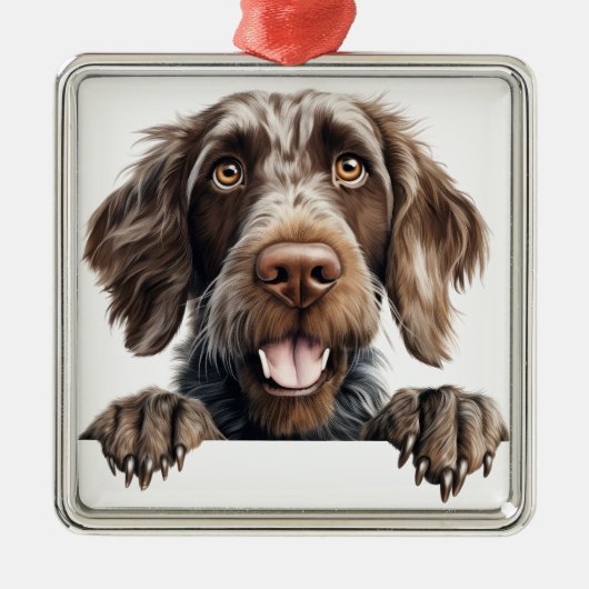 MOOIE DUITSE DRAADHARIGE WIJZERHOND METALEN ORNAMENT (Voorkant)