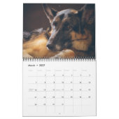 Mooie Duitse foto van Shepherd Kalender (Mar 2027)
