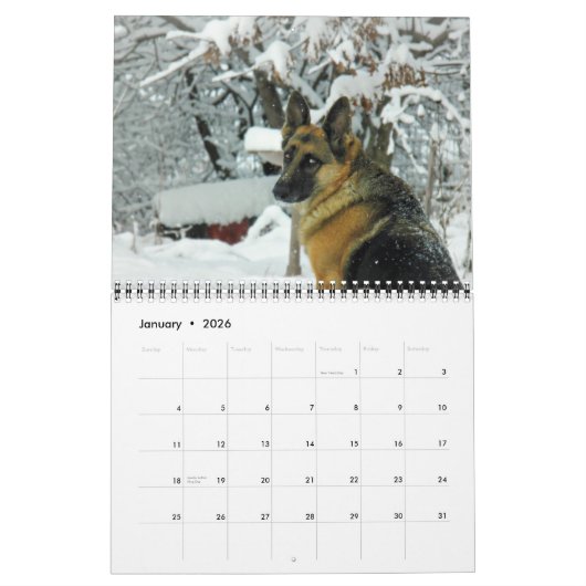 Mooie Duitse foto van Shepherd Kalender (Jan 2026)