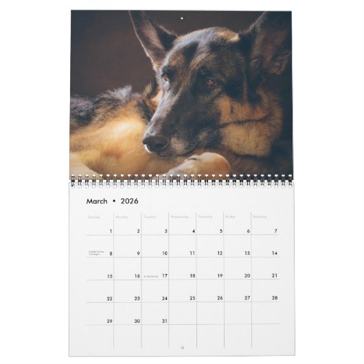 Mooie Duitse foto van Shepherd Kalender (Mar 2026)