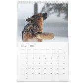 Mooie Duitse foto's van Shepherd Kalender (Jan 2027)