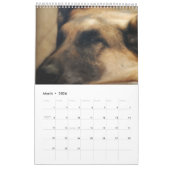 Mooie Duitse foto's van Shepherd Kalender (Mar 2026)
