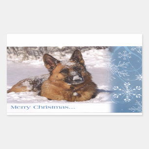 Mooie Duitse herderhond in sneeuw Rechthoekige Sticker