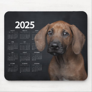 Mooie Duitse kortharige wijzer 2025 kalender Muismat