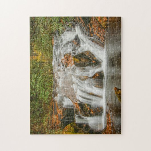 Mooie Dukes kreek waterval in N. Georgia Legpuzzel (Verticaal)