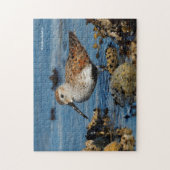 Mooie Dunlin Sandpiper Goes Solo op het strand Legpuzzel (Verticaal)
