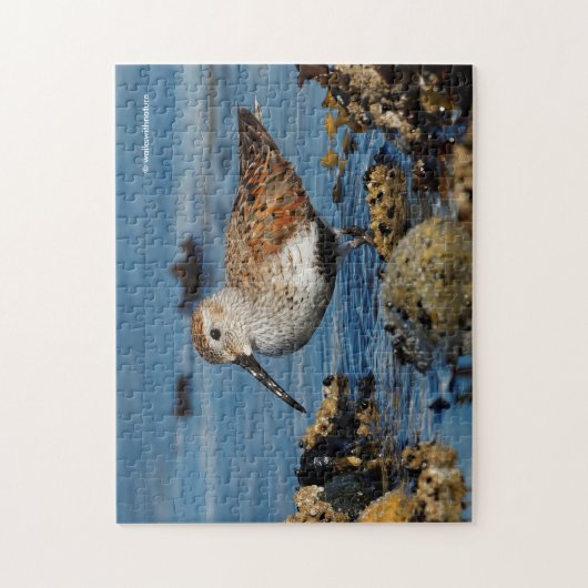 Mooie Dunlin Sandpiper Goes Solo op het strand Legpuzzel (Verticaal)