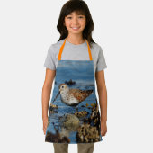 Mooie Dunlin Sandpiper Goes Solo op het strand Schort (Insitu)