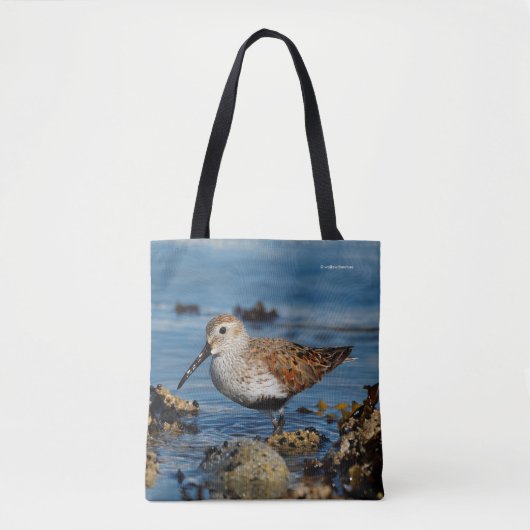 Mooie Dunlin Sandpiper Goes Solo op het strand Tote Bag (Voorkant)