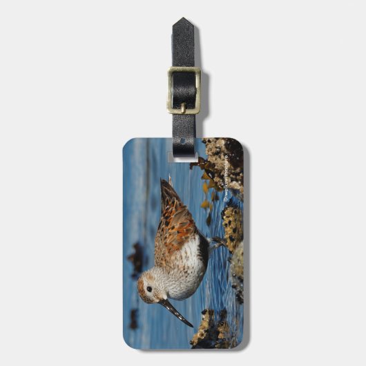 Mooie Dunlin Sandpiper op het voorjaarsstrand Bagagelabel (Voorkant verticaal)