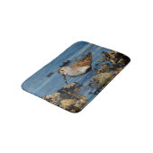 Mooie Dunlin Shorebird bij het strand Badmat (Gekanteld)