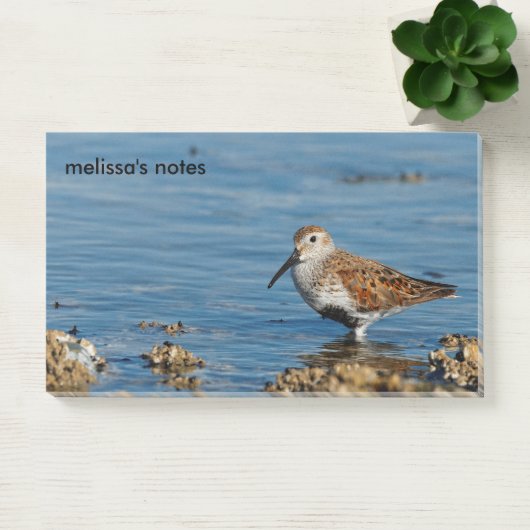 Mooie Dunlin Shorebird Sandpiper gaat solo Post-it® Notes (Kantoor)