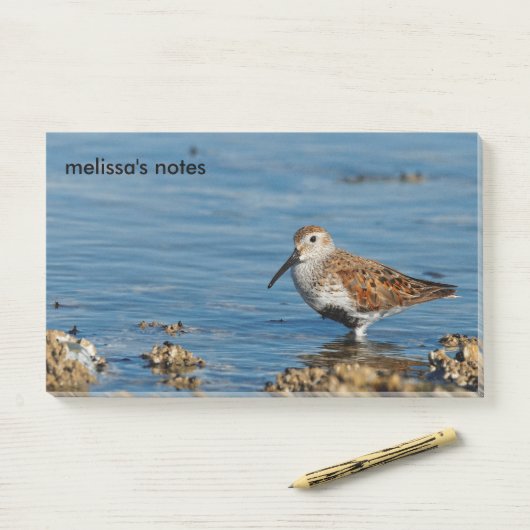 Mooie Dunlin Shorebird Sandpiper gaat solo Post-it® Notes (Op bureau)