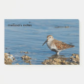 Mooie Dunlin Shorebird Sandpiper gaat solo Post-it® Notes (Voorkant)