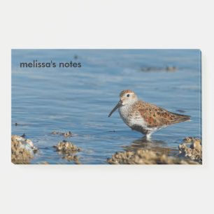 Mooie Dunlin Shorebird Sandpiper gaat solo Post-it® Notes