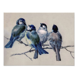 Mooie Dusty Blue Grey Birds op een vertakking Foto Afdruk