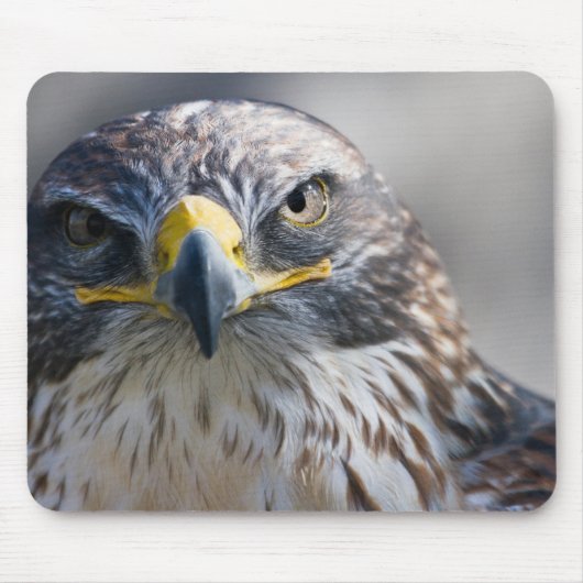 Mooie Eagle Muismat (Voorkant)
