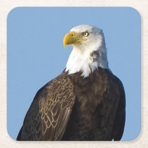 Mooie Eagle Onderzetter set