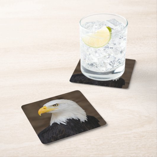 Mooie Eagle Onderzetter set (Insitu)