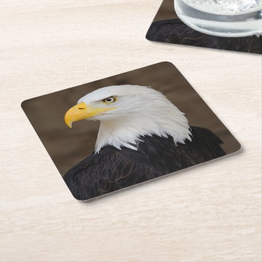 Mooie Eagle Onderzetter set (Schuin)