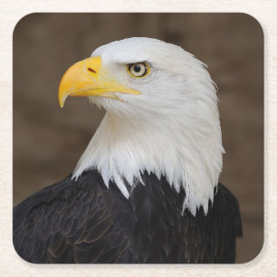 Mooie Eagle Onderzetter set