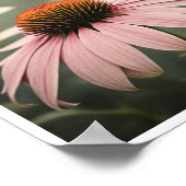 Mooie Echinacea Flower Poster Wall Art (Hoek)