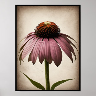 Mooie Echinacea Flower Poster Wall Art