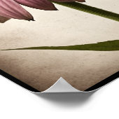 Mooie Echinacea Flower Poster Wall Art (Hoek)