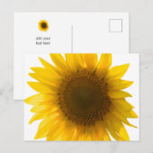 Mooie Echte Zonnebloem Foto Minimalistisch Patroon Briefkaart (Voorkant / Achterkant)