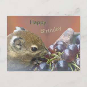 Mooie eekhoorn Gelukkige verjaardag ansichtkaart Briefkaart