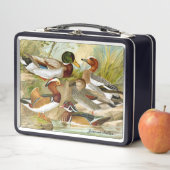 Mooie  eenden bij de hanger (In situ)