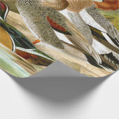 Mooie  eenden bij de zuivering cadeaupapier (Hoek)