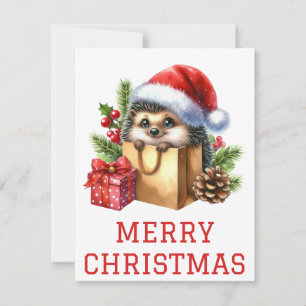 Mooie Egel Kerstkaart