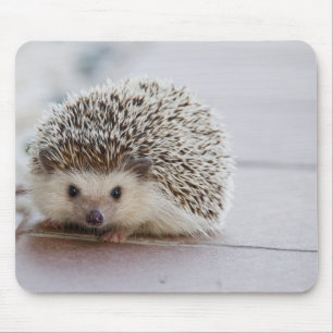 Mooie egel muismat