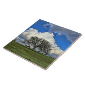 Mooie eikenboom met wolken Natuur Tegeltje (Zijkant)