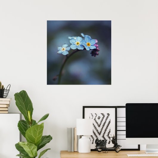 Mooie Elegant Blue-Vergeet-me-niet Flowers Poster (Thuiskantoor)
