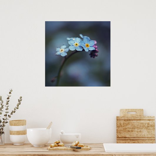 Mooie Elegant Blue-Vergeet-me-niet Flowers Poster (Keuken)