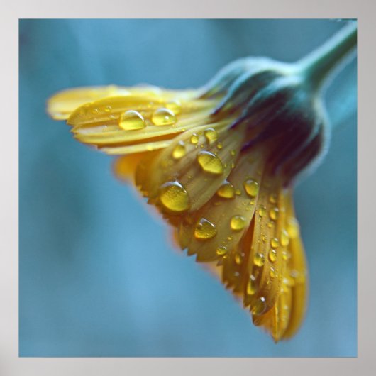 Mooie Elegant Gele Gele Vloerdruppels Poster (Voorkant)