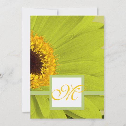 Mooie Elegant Gerber Daisy Wedding Uitnodiging (Achterkant)