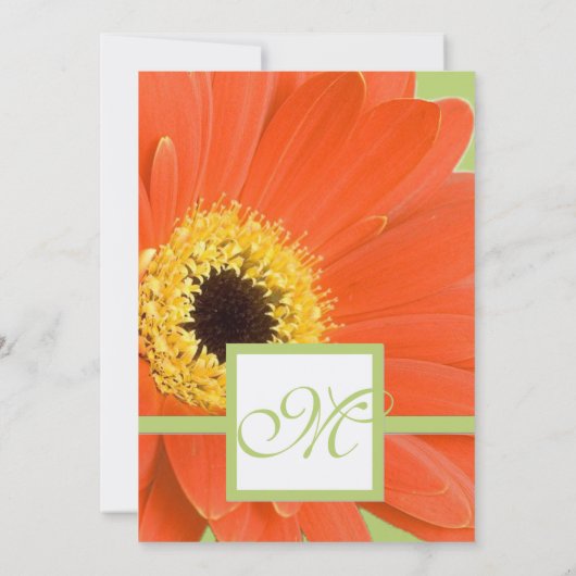 Mooie Elegant Gerber Daisy Wedding Uitnodiging (Achterkant)