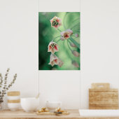 Mooie Elegant Honey Garlic Flowers Poster (Keuken)